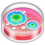 Petri Dish on WhatsApp 2.22.8.79