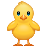 🐥 Poussin De Face Emoji on WhatsApp 2.23.2.72