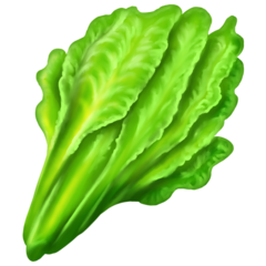 🥬 Leafy Green Emoji