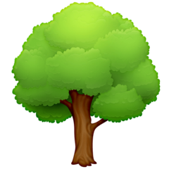 🌳 Deciduous Tree Emoji