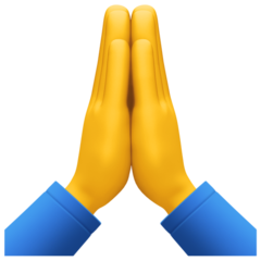 🙏 Person with Folded Hands Emoji