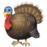 🦃 Turkey Emoji