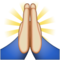 🙏 Person with Folded Hands Emoji
