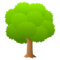 🌳 Deciduous Tree Emoji