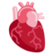 🫀 Corazón Humano emojis