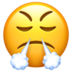 Face with Steam From Nose emoji