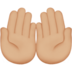 Palms Up Together: Medium-Light Skin Tone emoji