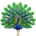 Peacock emoji