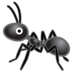 Ant