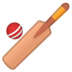 Cricket Game