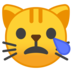 Crying Cat
