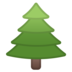 Evergreen Tree