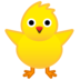 Front-Facing Baby Chick