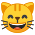 Grinning Cat with Smiling Eyes