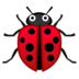 Lady Beetle