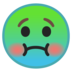 Nauseated Face