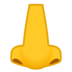 Nose