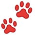 Paw Prints