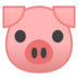 Pig Face