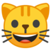 Grinning Cat
