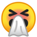 Sneezing Face