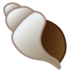 Spiral Shell