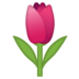 Tulip