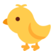 Baby Chick