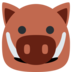 Boar