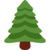 Evergreen Tree