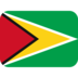 Flag: Guyana