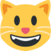 Grinning Cat