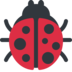Lady Beetle