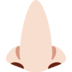 Nose: Light Skin Tone