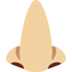 Nose: Medium-Light Skin Tone
