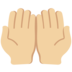 Palms Up Together: Medium-Light Skin Tone