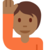 Person Raising Hand: Medium-Dark Skin Tone