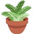 Potted Plant