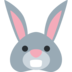 Rabbit Face