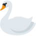 Swan